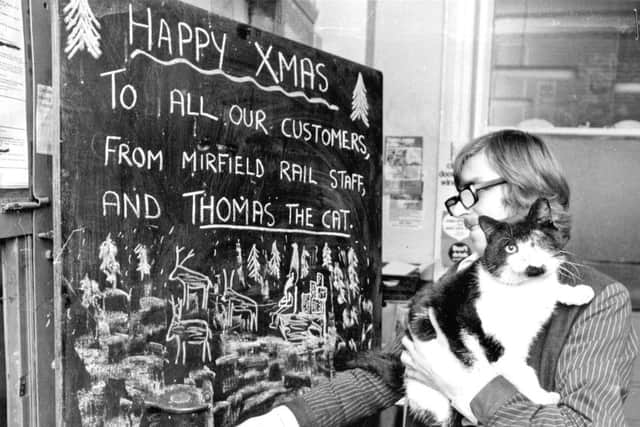 Thomas the cat at Mirfield railway station in 19759.