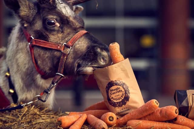 Monday 19th December 2016:  Morrisons supermarkets across the UK will be giving away 200,000 wonky carrots in an effort to support the Christmas tradition of leaving out refreshments for Father Christmas and his trusty reindeers on Christmas Eve.