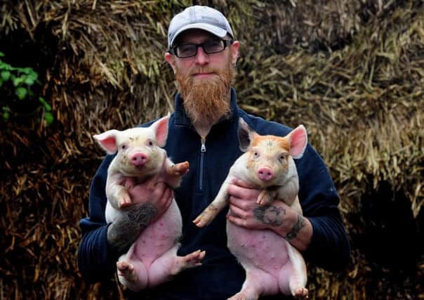 James Osborne pictured with his pigs and piglets on Cross Heights Farm, Scholes.  Pictures: Simon Hulme