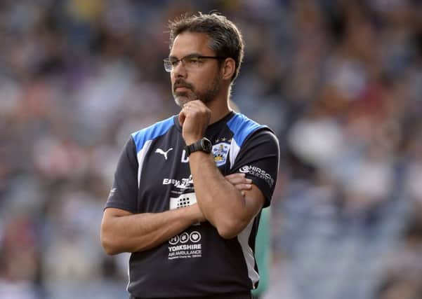 David Wagner. Picture: Bruce Rollinson