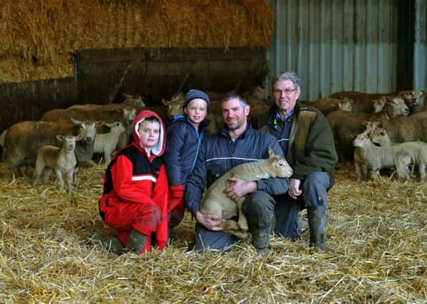 Newborn Charollais lambs at Foulrice near Whenby with some of the Marwood Family, Charles (right), his son Stephen (holding the lamb) and grandsons Edward, aged seven, and Tommy, four.