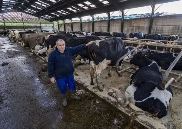 Dairy farmer Shaun Sowray, of Bowes Green Farm, Bishop Thornton, near Harrogate is backing The Yorkshire Post's Clearly British campaign.
