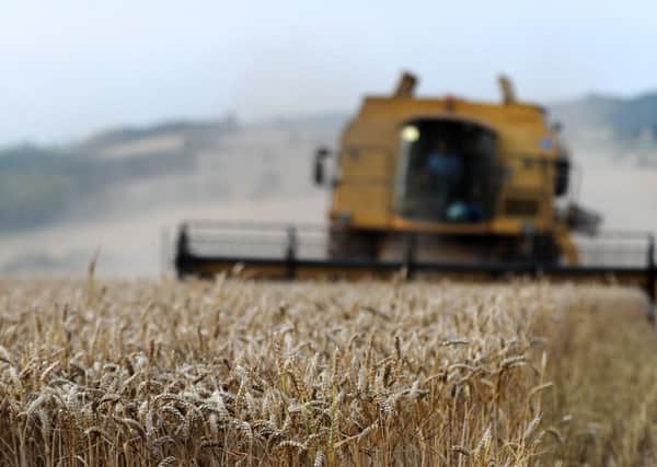 Will Brexit be farming's salvation?