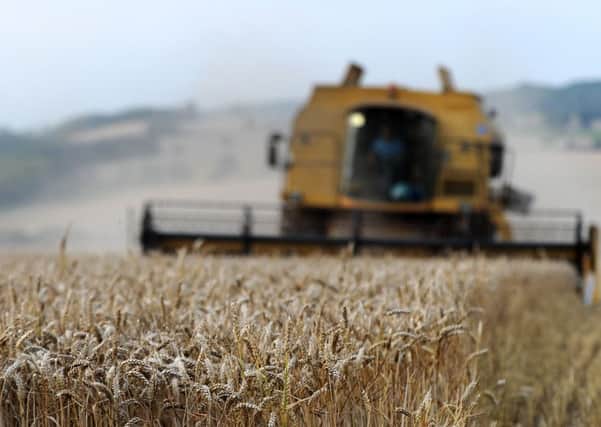 What will Brexit mean for farming?