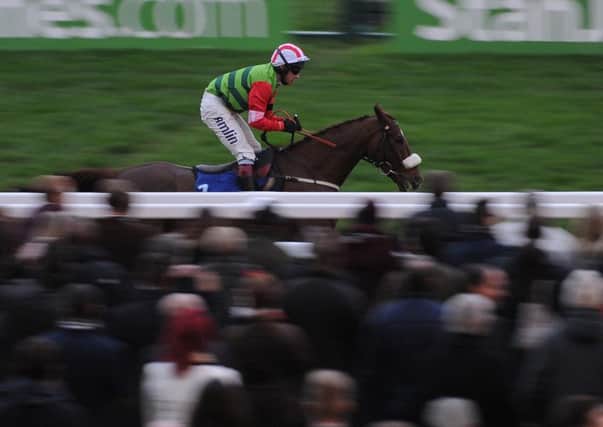 Form horse: Definitly Red, pictured winning at Cheltenham, won at Wetherby on Boxing Day. (Picture: PA)