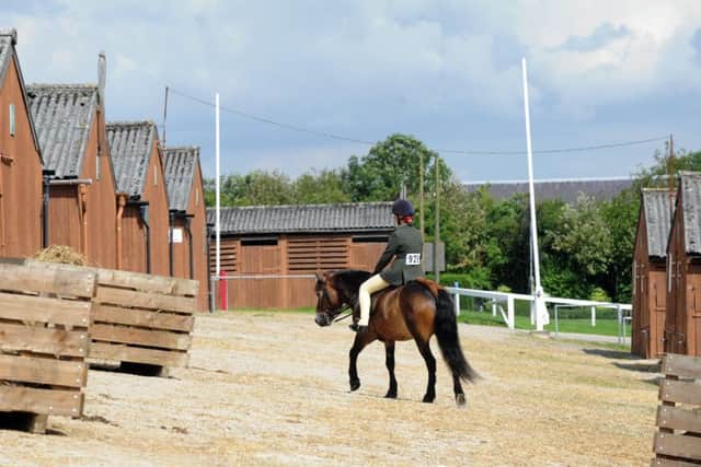 Competitive equine classes are staples of the Great Yorkshire Show and Countryside Live which are held at the Harrogate showground each year.