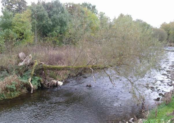 A tree removal operation will begin along a 15-mile stretch of the River Aire next week.