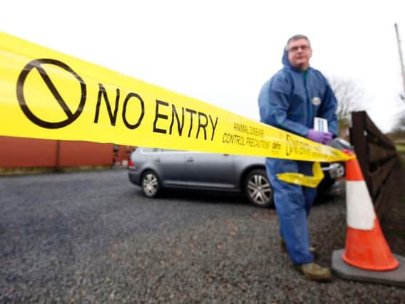 Bird Flu has been confirmed in Yorkshire. This photo shows a quarantine zone in Scotland last year. Photo: PA