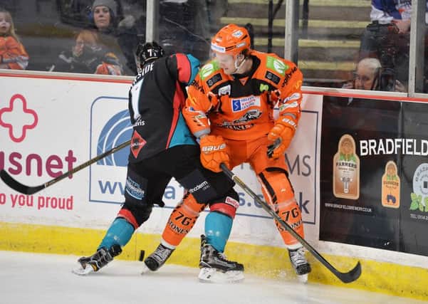 CONFIDENT: Sheffield Steelers' Levi Nelson. Picture: Dean Woolley.