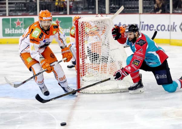 TOUGH AT THE TOP: Belfast Giants' Blair Riley battles with Sheffield Steelers' John Armstrong  during Saturday's clash at the SSE Arena. Picture courtesy of William Cherry/Presseye/EIHL