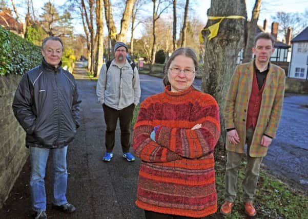 13 January 2017 .......   Tree campaigner Helen McIlroy with fellow protestors Dave Dillner, Calvin Payne and Dr Simon Crump in Nether Edge in Sheffield. Picture Tony Johnson