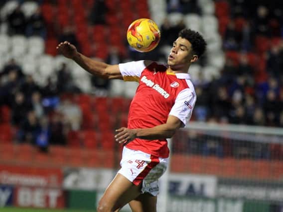 Tom Adeyemi returned the Rotherham lead minutes after Norwich equalised