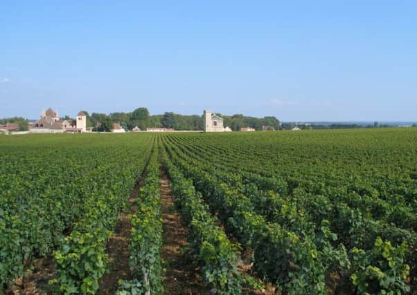 Clos du Vougeot in Burgundy makes expensive, fabulous wines.