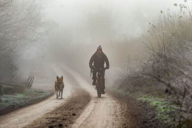 A man exercising his dog along a country lane near Stutton, Tadcaster. Picture: James Hardisty