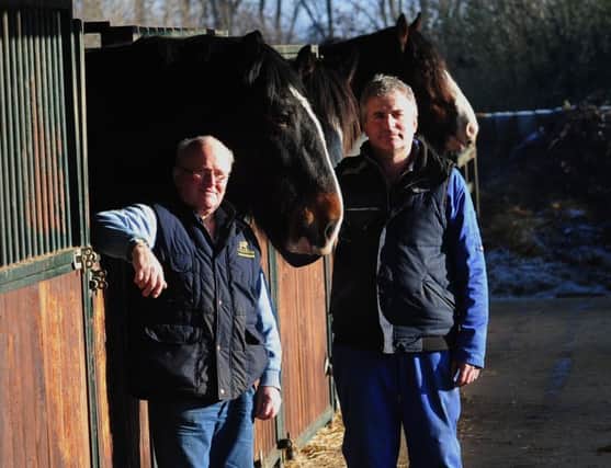 Richard Bloom with dad, Jim, and the Shire horses at Decoy Farm.  Picture: Simon Hulme