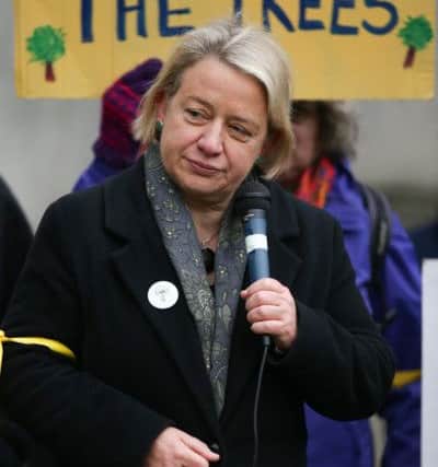 Natalie Bennett joins Sheffield Tree protesters outside Sheffield Magistrates Court.
