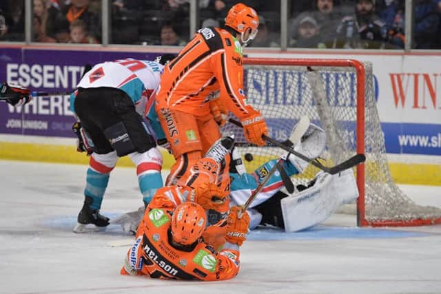 Steelers dropped four points to title rivals Belfast Giants over the weekend. Picture: Dean Woolley.