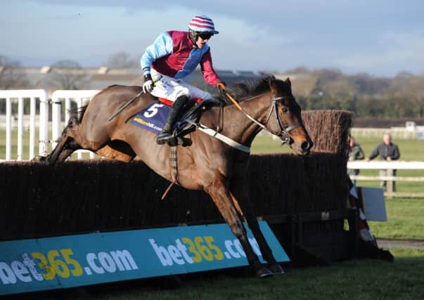 Aintree bid: Cloudy Too is one of two horses for Sue Smith in the Grand National field. (Picture: Alan Wright)