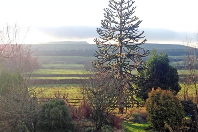 Dog Kennel Cottage has exceptional views over Wensleydale