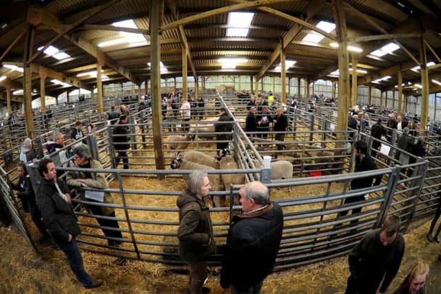 The annual Swaledale Tup Sales at Hawes Auction Mart attracted great interest but the mart's future is uncertain.  Picture: Jonathan Gawthorpe