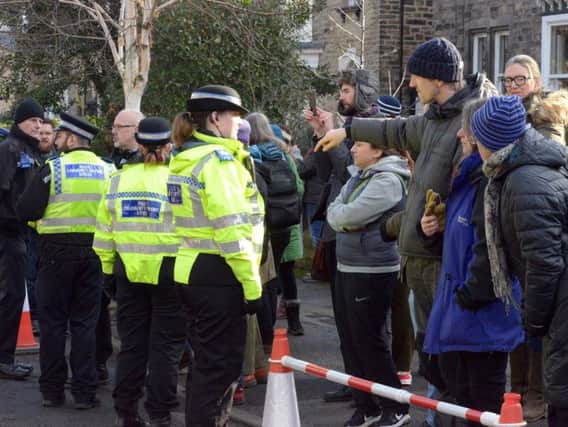A councillor has been arrested at a tree felling protest in Sheffield