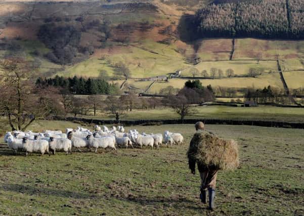 Yorkshire has a high number of common land farmers. The Rural Payments Agency has vowed to settle their outstanding payment claims as soon as possible.