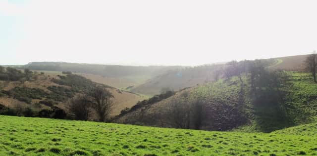 View from the Wolds this week, with Sue Woodcock.