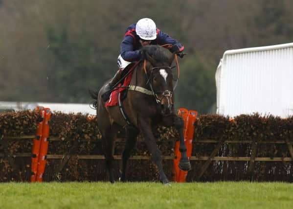 Don Bersy, ridden by Aidan Coleman, leads the field over the last flight before going on to win the 32Red Casino Juvenile Hurdle at Sandown last month (Picture: Julian Herbert/PA Wire).