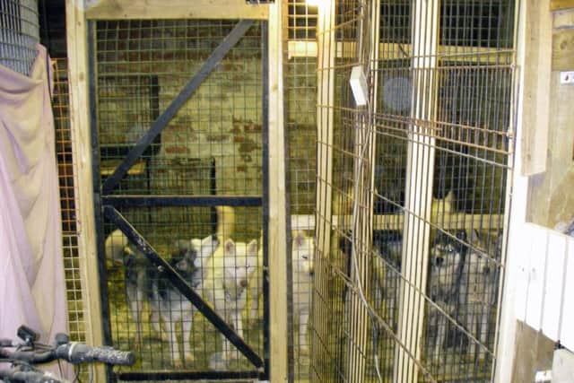 The basement where a vet and his assistant, Gary Samuel, 49, and Rochelle McEwan, 28, kept dogs locked in cages at their practice in Armley, Leeds.