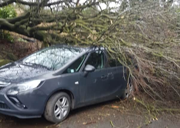 Gail Broadbent's car was destroyed by a tree