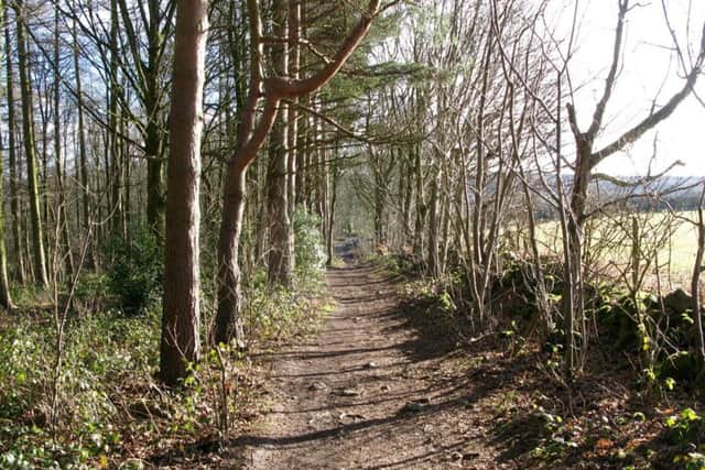 Woodland path leading into the Crimple Valley