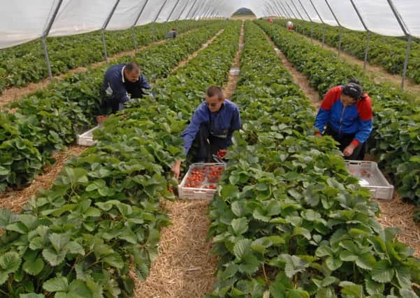 Farmers will still need migrant workers after Brexit.