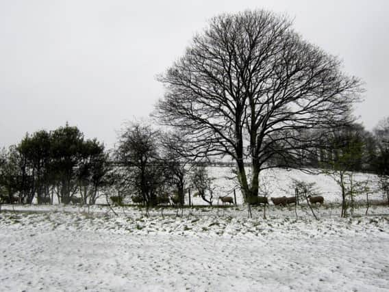 Yorkshire is expected to see some snow on high ground throughout this week.