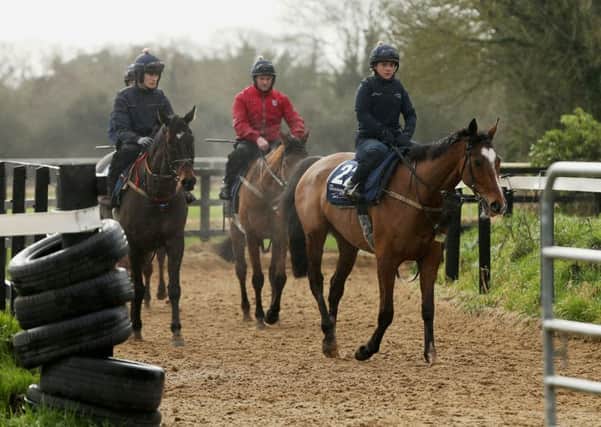 Don Poli leads a group of horses during the visit to Gordon Elliott's stables in Longwood, County Meath, Ireland.