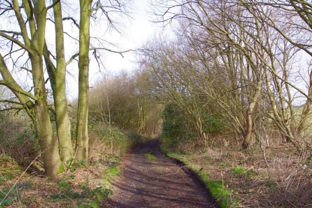 Footpath along the old Frickley railway line