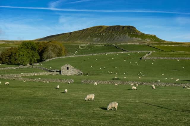 Will the Budget deliver for rural Yorkshire?