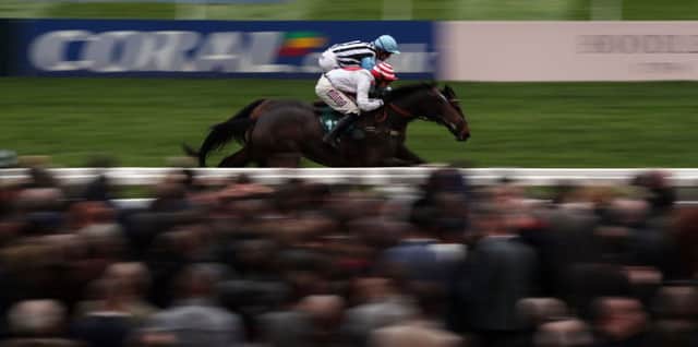 Irish Roe ridden by Graham Lee (top) and My Khaleesi ridden by Wayne Hutchinson dead-heat in the High Sheriff Of Gloucestershire's Mares' Standard Open National Hunt Flat Race at Cheltenham last November.