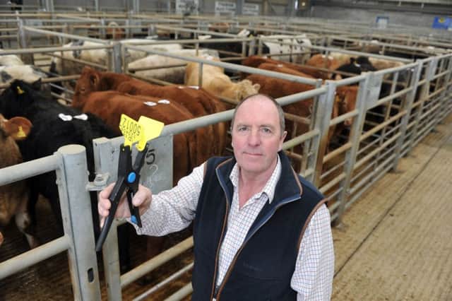 Chris Jeffrey, MD at  Green's Farm Supplies based at Thirsk Rural Business Centre and Auction Mart, has set up Lazer Tags and invested in a new machine to lazer numbers on to animal ear tags. Picture: Tony Johnson.