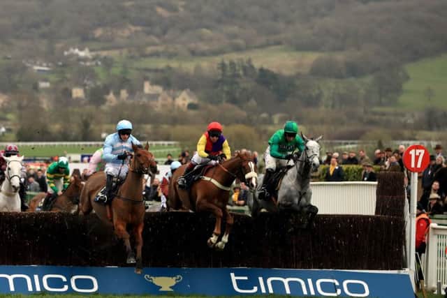 The road to victory in the Cheltenham Gold Cup. Picture: Mike Egerton/PA