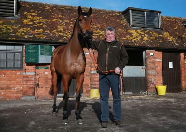 Trainer Paul Nicholls with Dodging Bullets during a stable visit to Manor Farm Stables, Ditcheat (Picture: David Davies/PA Wire).