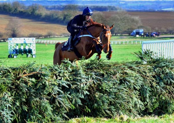 Definitly Red, ridden by Danny Cook, goes over a jump on the gallops at Morton (Pictures: Gary Longbottom).