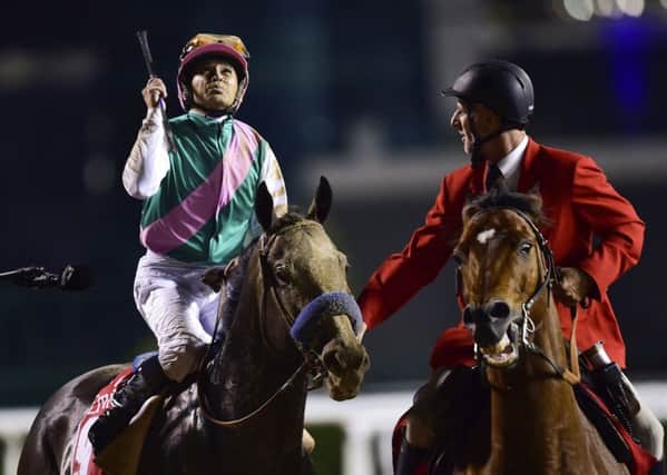 Star of the show: Mike Smith celebrates after Arrogate wins the Dubai World Cup at Meydan Racecourse. (AP Photo)