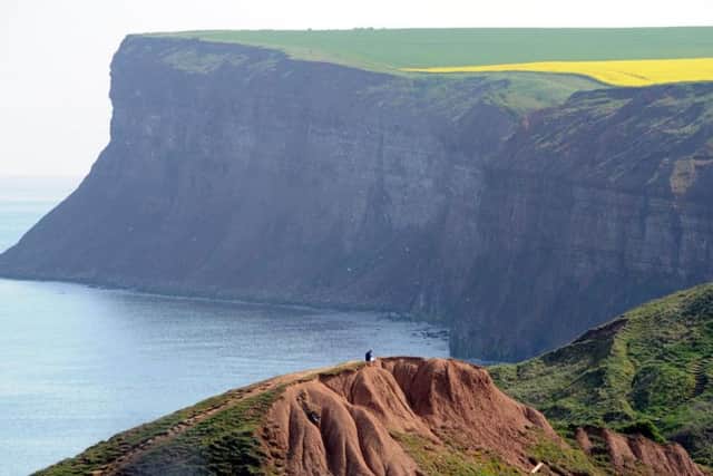The cliffs at Saltburn