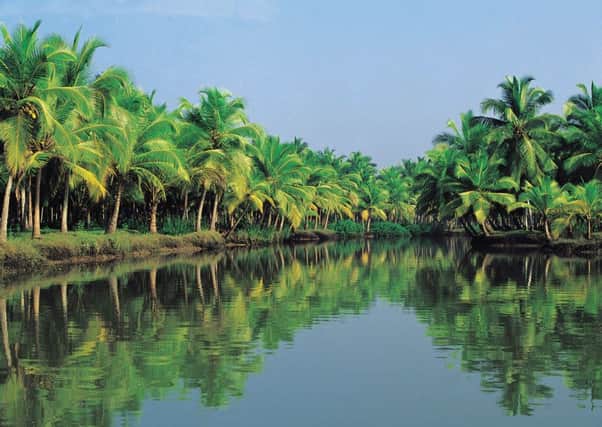 The lush green backwaters of Kerala, South India. Picture: PA Photo/Saga.