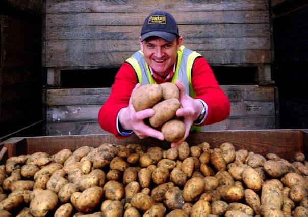Rufus Pilgrim at Cockerills Potatoes, Dunnington, York.  Pictures by Simon Hulme.