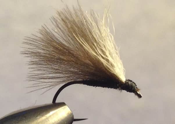 Tie a bit of snow shoe hare fur above the wing of your F fly for best results.  Fly dressed by Stephen Cheetham.
