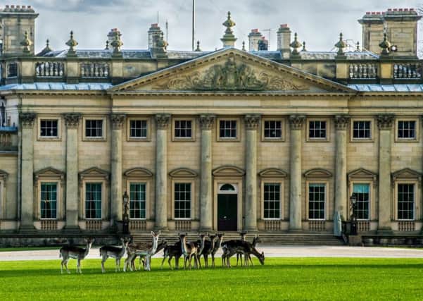 A herd of young Roe and Fallow Deer relaxing on the grounds in front of Harewood House. (James Hardisty).