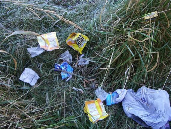 Could making fly-tippers pick up litter stop the problem?