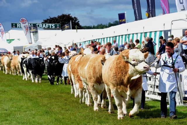 Around 8,500 animals are expected to be lined up for the judges at this summer's 159th show.