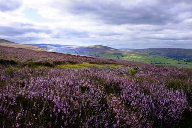 Lucy Pittaway thinks the heather moorlands, like these around Reeth in Swaledale, are part of what gives Yorkshire it's unique identity.